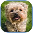 Puzzle Puppy Cute Games Free
