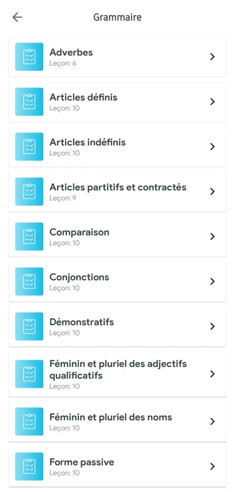 French Grammar Screenshots