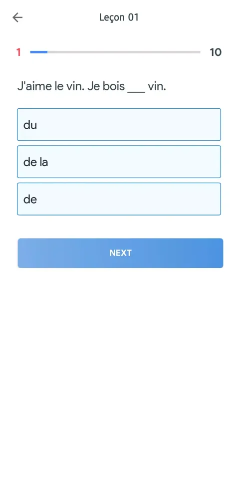 French Grammar Screenshots