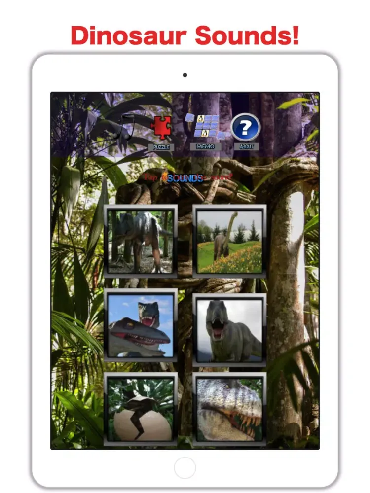 صور Dino Zoo: Game For Kids 6 Year iPad 