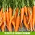 Grow Your Own Groceries
