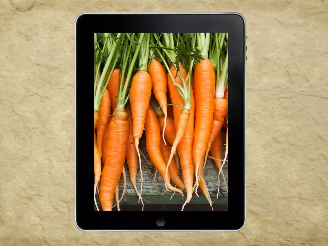 Tangkapan layar Grow Your Own Groceries iPad 