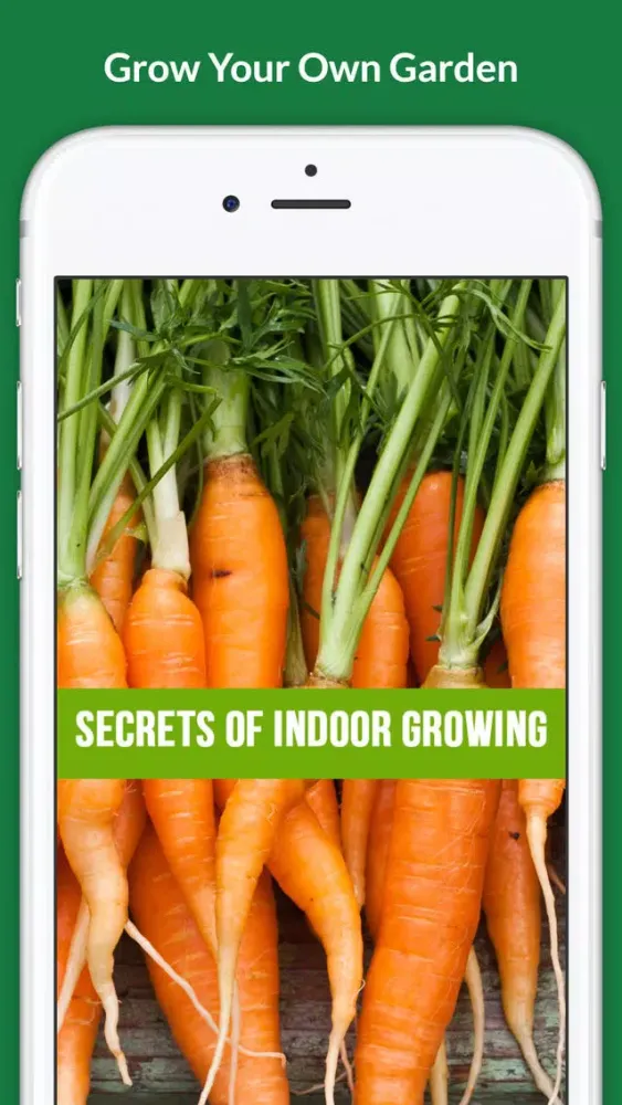 Tangkapan layar Grow Your Own Groceries