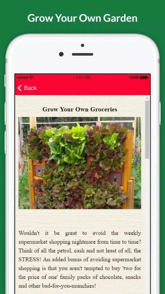 Tangkapan layar Grow Your Own Groceries