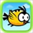 Bird Bouncer Bird Bouncer