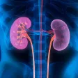 Repair Your Kidneys Naturally