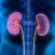 Repair Your Kidneys Naturally