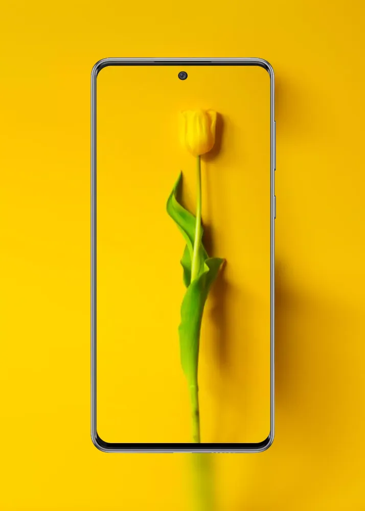 Galaxy A73 5G Wallpapers Screenshots