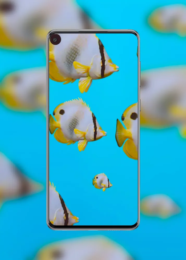 Punch Hole Walls Realme 7 Pro Screenshots
