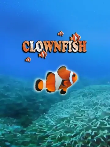 Capturas de pantalla de Clownfish Tap iPad 