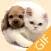 Pet Stickers - Cats & Dogs Animated Gif Stickers