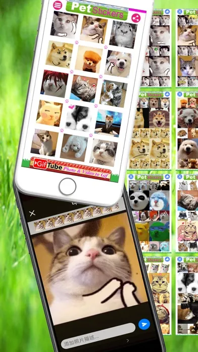 Capturas de pantalla de Pet Stickers - Cats & Dogs Animated Gif Stickers
