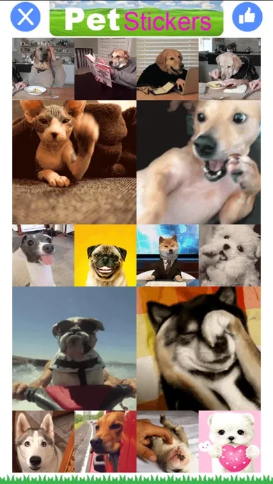 Capturas de pantalla de Pet Stickers - Cats & Dogs Animated Gif Stickers