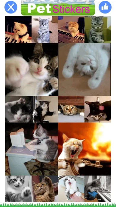 Capturas de pantalla de Pet Stickers - Cats & Dogs Animated Gif Stickers