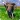Elephant Sounds Ringtone