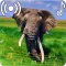 Elephant Sounds Ringtone