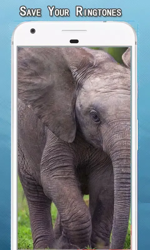 Elephant Sounds Ringtone Screenshots