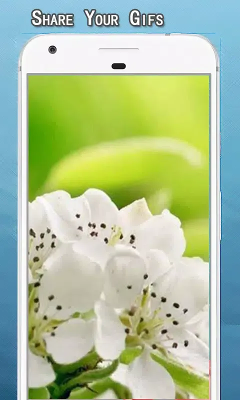 Flowers GIF Collection Screenshots