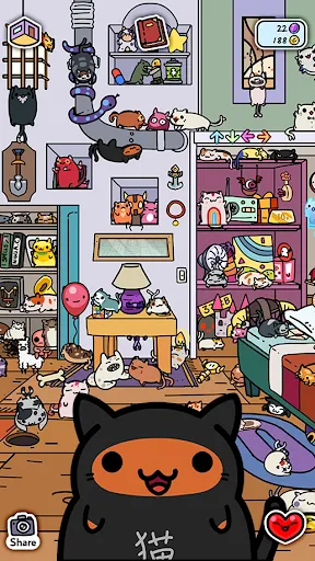 تصاویر KleptoCats