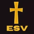 English Standard Version (ESV) English Standard Version (ESV)