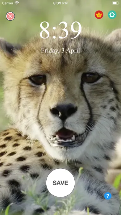 Screenshot di Live Wallpaper Supreme