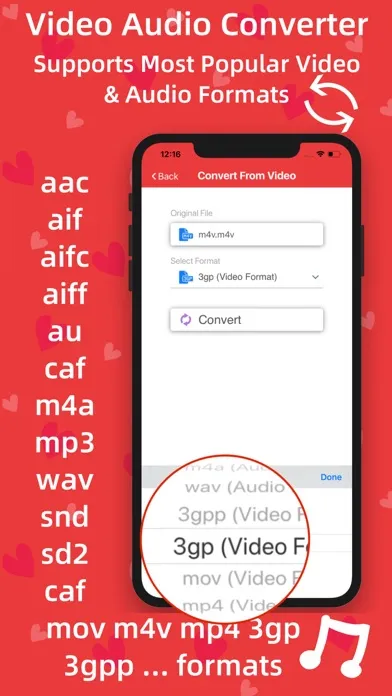 Video Audio Converter Pro Screenshots