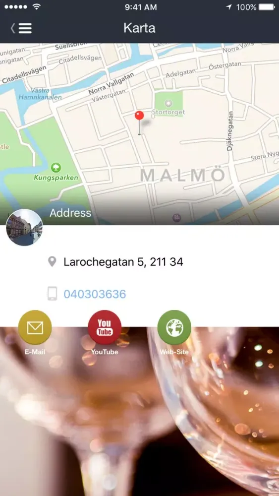 LaRoche Vin & Tapas Screenshots