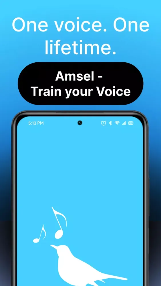 Amsel – Train your Voice Screenshots