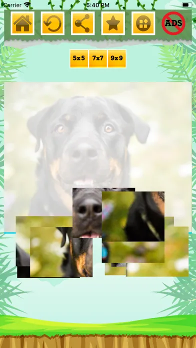 Zrzuty ekranu Animals Sounds - Learn Animals