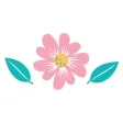 Floricoltura Cavagnini