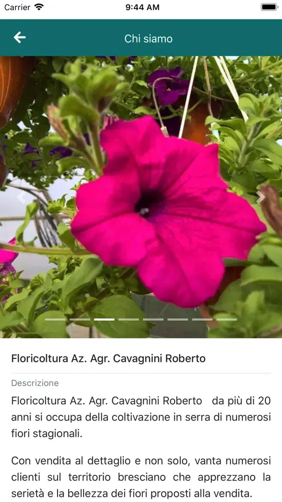 Capturas de tela do Floricoltura Cavagnini