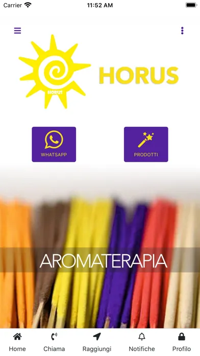 Zrzuty ekranu Horus