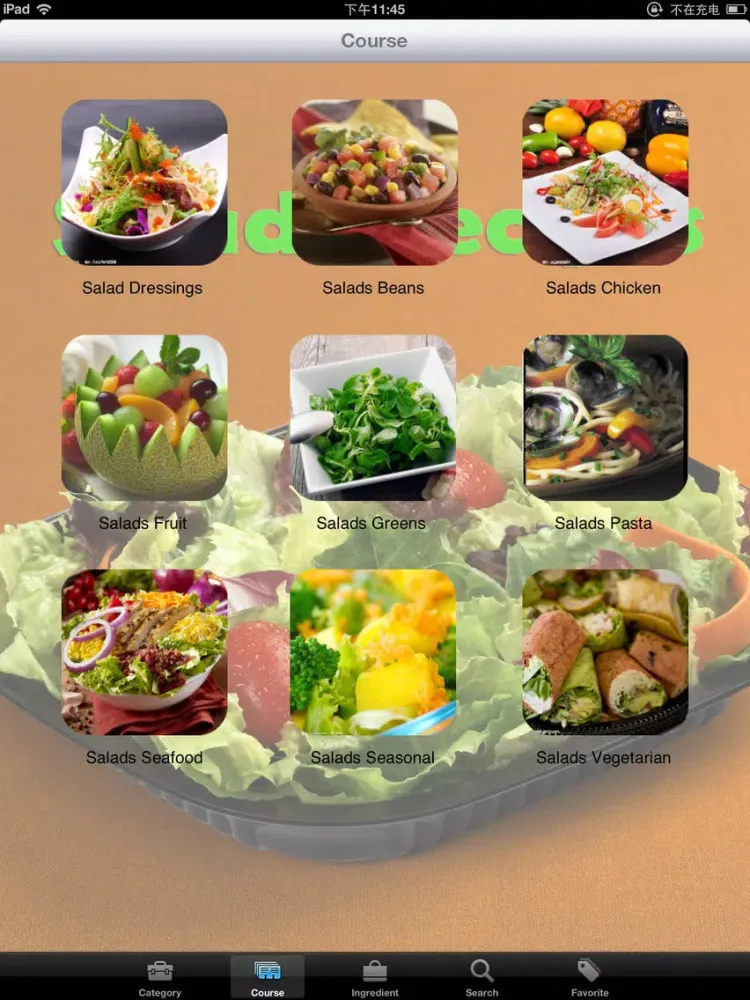 20000+ Salads Recipes iPad 应用截图