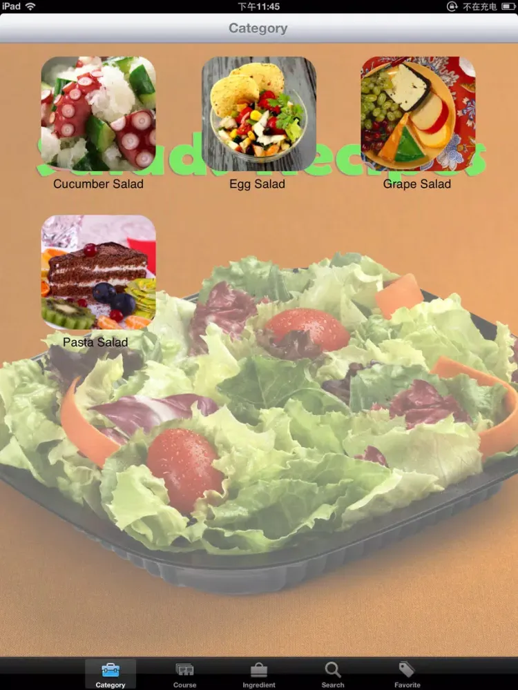 20000+ Salads Recipes iPad 应用截图