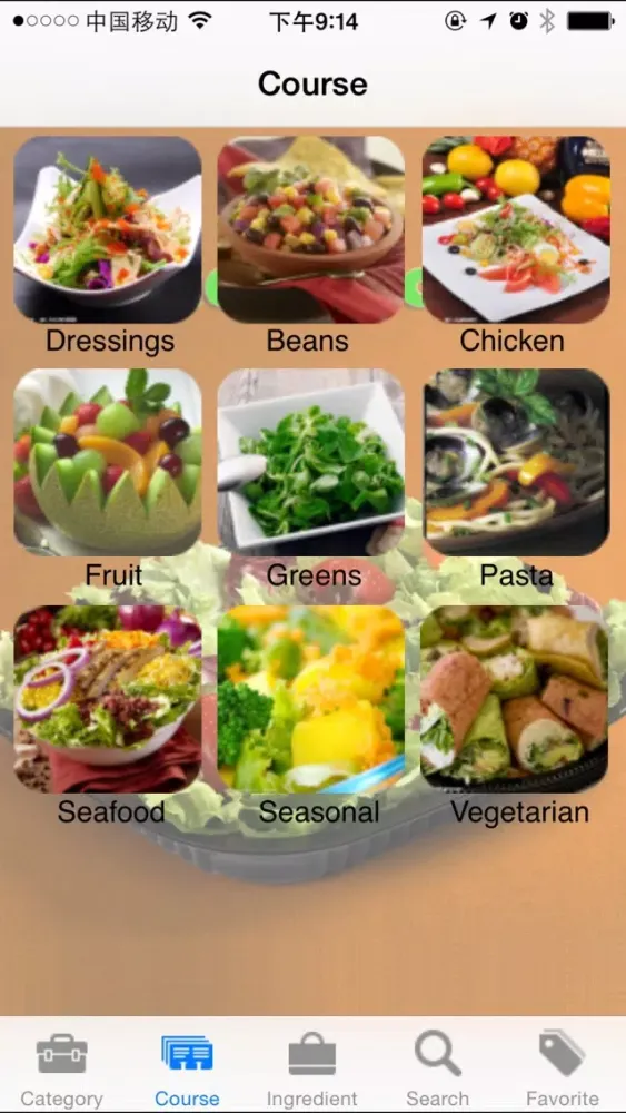 20000+ Salads Recipes应用截图