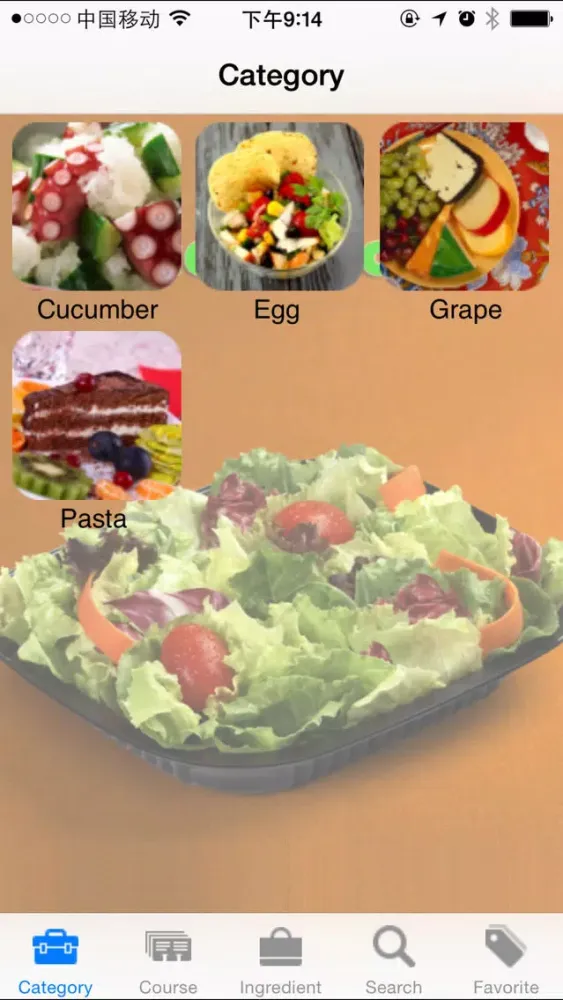 20000+ Salads Recipes应用截图