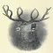 599 Elks