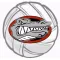 CAHS VBall