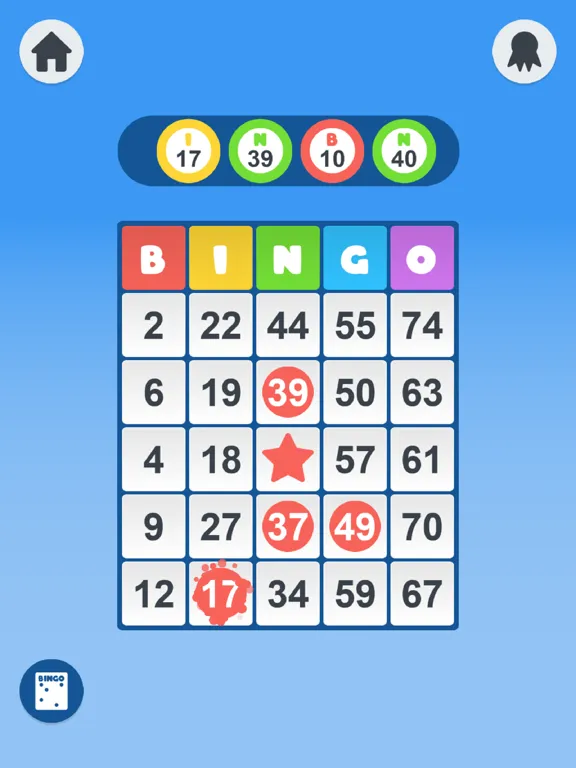Daily Bingo iPad  스크린샷