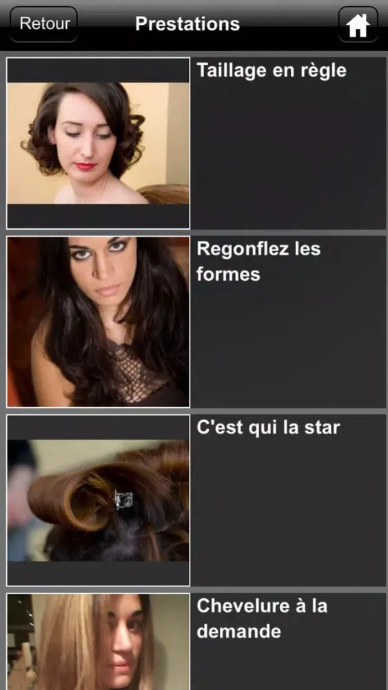 Le Salon by Anne Demollière Screenshots