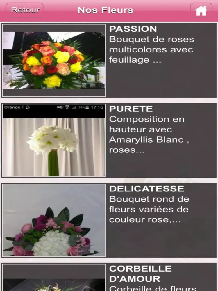 Comme une fleur Montmorency iPad 應用截圖