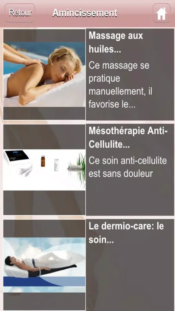 Ảnh chụp màn hình của Institut Danielle Lanstère