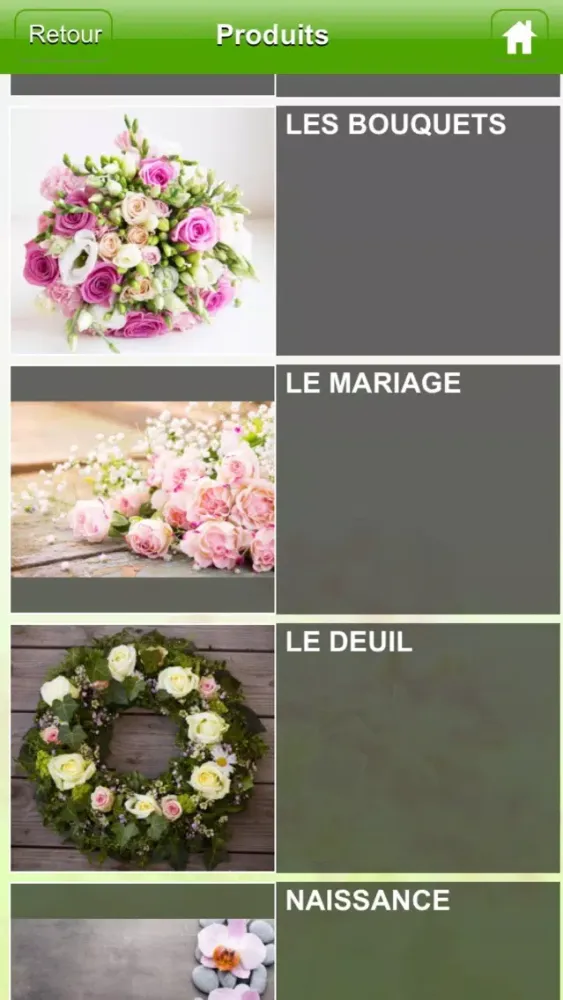 Capturas de pantalla de Les Floralies Stains