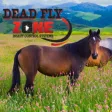 Dead Fly Zone Dead Fly Zone