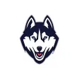 Dog Bed Shop UK Dog Bed Shop UK