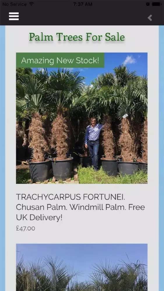The Palm Tree Company Ekran Görüntüleri