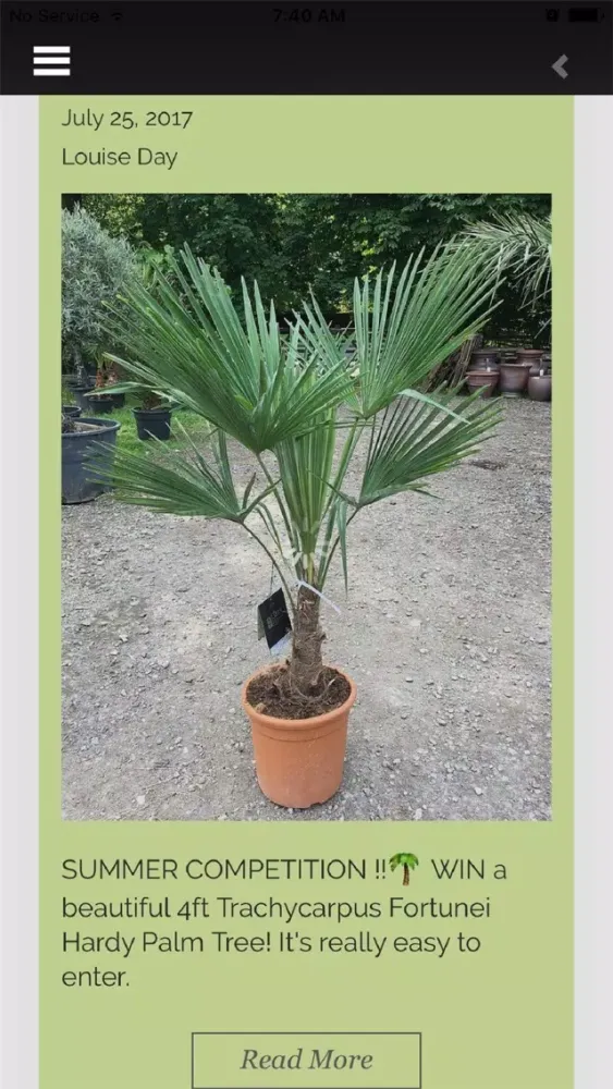 The Palm Tree Company Ekran Görüntüleri