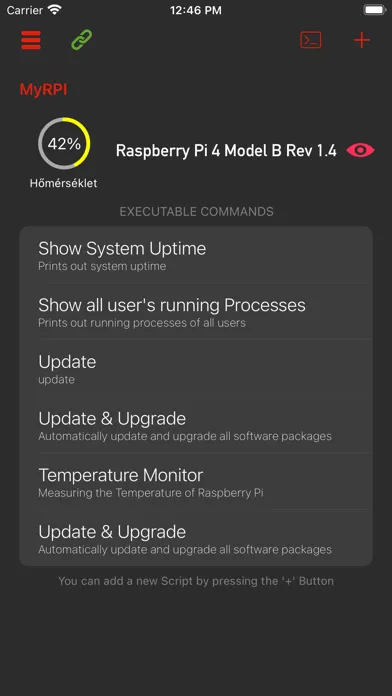 تصاویر My RPI SSH - for Raspberry PI