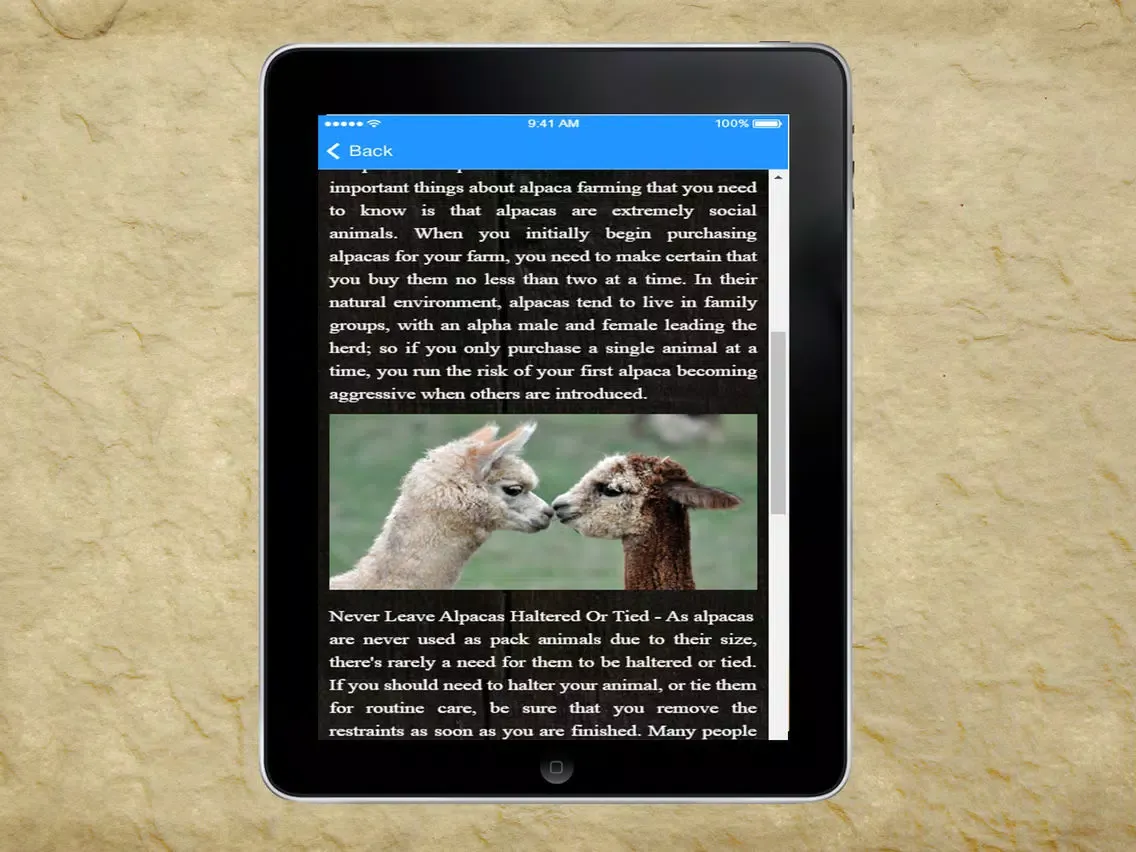 Alpaca - Successful Alpaca Farming iPad  Screenshots