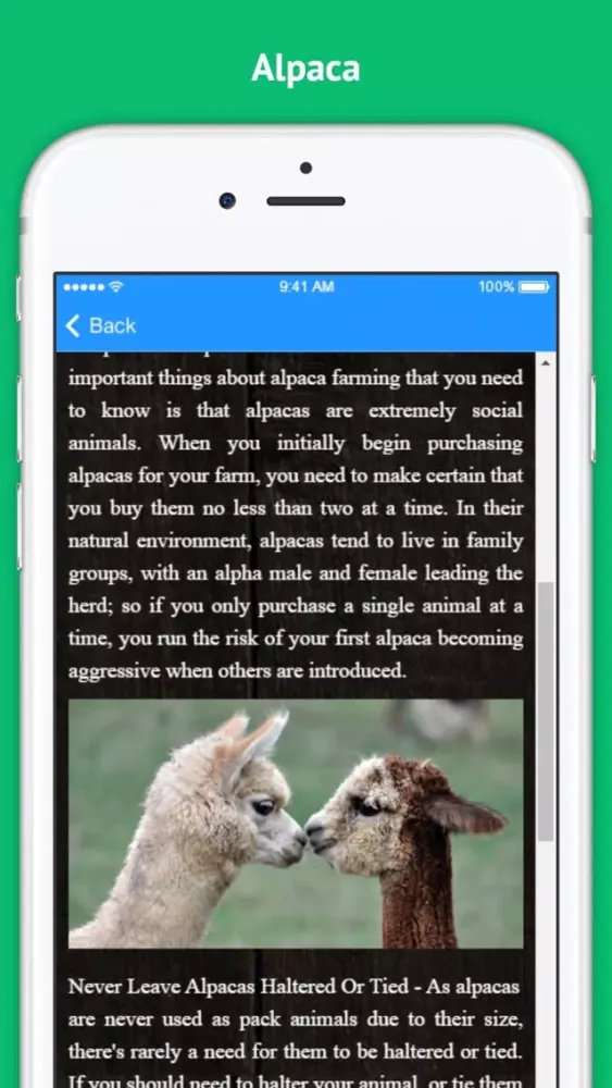 Alpaca - Successful Alpaca Farming Screenshots